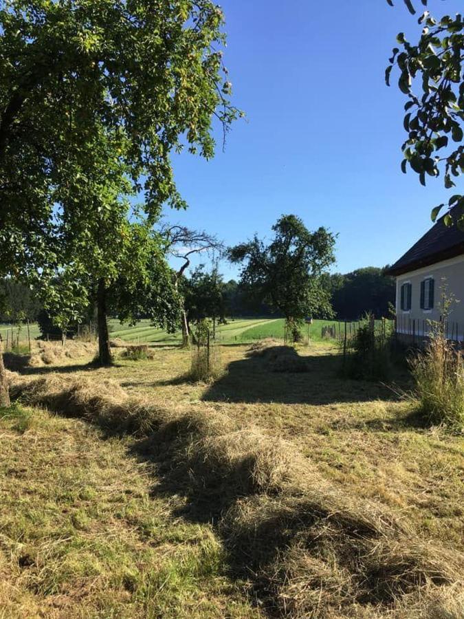 Kellerstoeckl-Am-Veganen-Bio-Lebenshof-Nur-Fuer-Hundefreunde-Empfohlen Villa Sulb Esterno foto