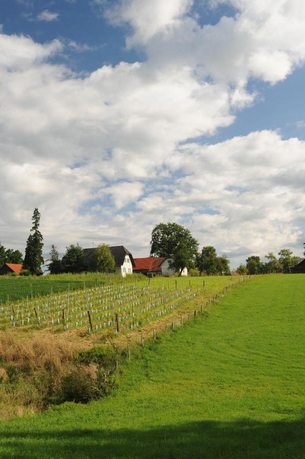 Kellerstoeckl-Am-Veganen-Bio-Lebenshof-Nur-Fuer-Hundefreunde-Empfohlen Villa Sulb Esterno foto