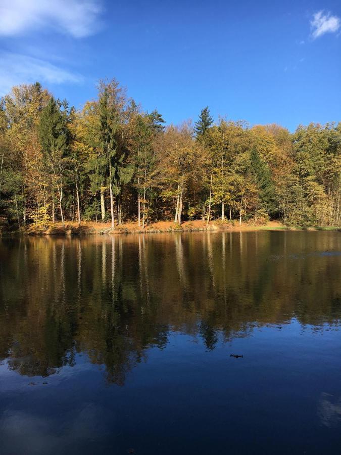 Kellerstoeckl-Am-Veganen-Bio-Lebenshof-Nur-Fuer-Hundefreunde-Empfohlen Villa Sulb Esterno foto