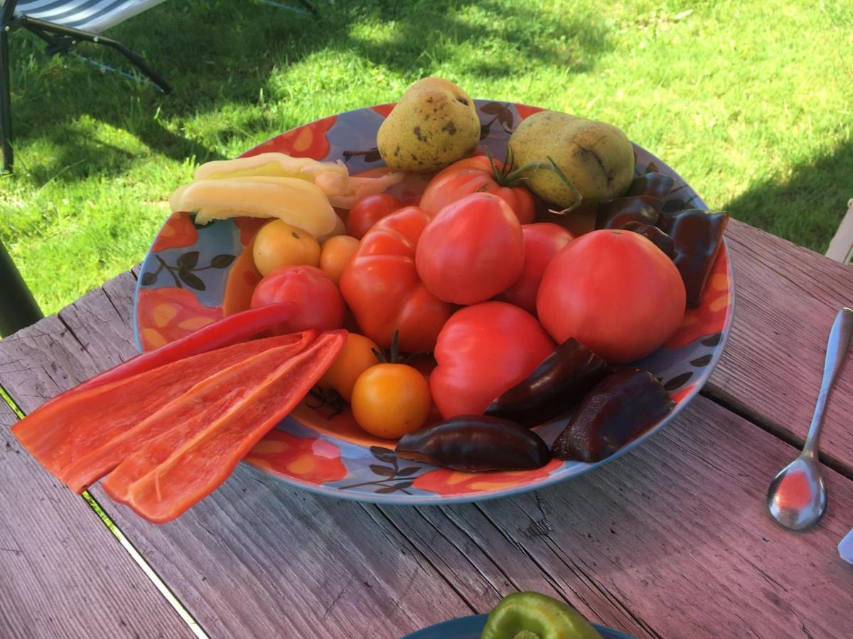 Kellerstoeckl-Am-Veganen-Bio-Lebenshof-Nur-Fuer-Hundefreunde-Empfohlen Villa Sulb Esterno foto