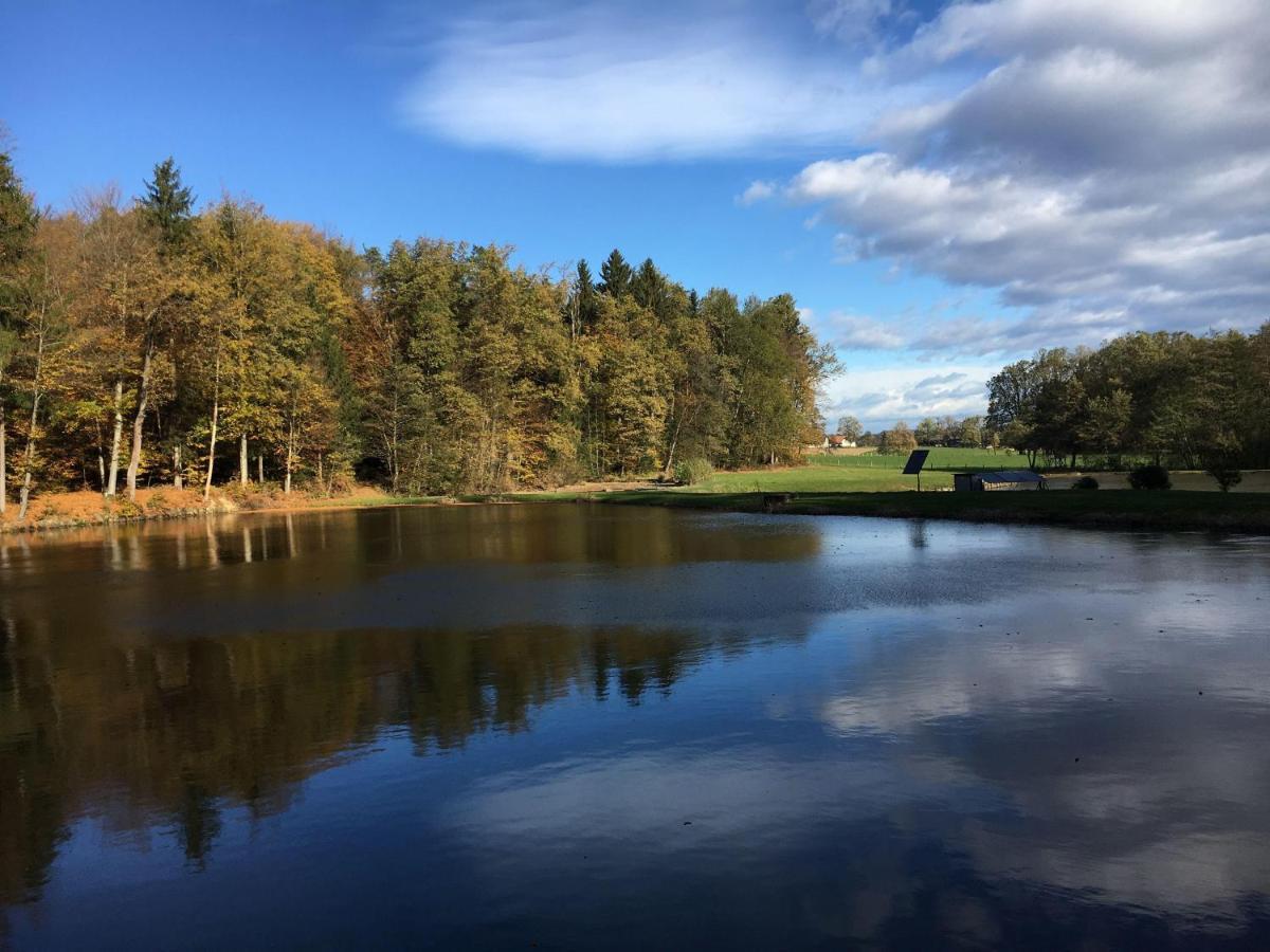 Kellerstoeckl-Am-Veganen-Bio-Lebenshof-Nur-Fuer-Hundefreunde-Empfohlen Villa Sulb Esterno foto